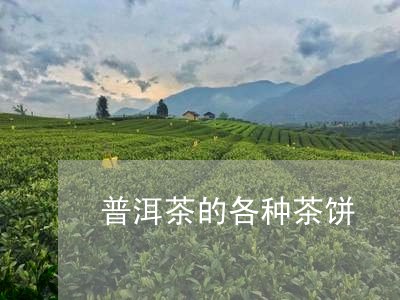 普洱茶的各种茶饼/2023041100612