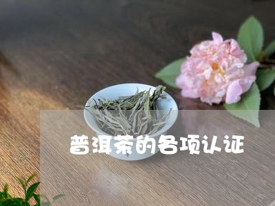 普洱茶的各项认证/2023031704060