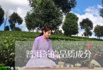 普洱茶的品质成分/2023040169724