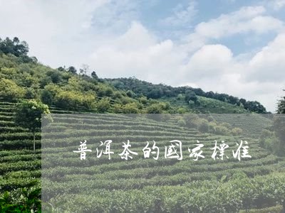 普洱茶的国家标准/2023041293638