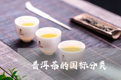 普洱茶的国标分类/2023041049491