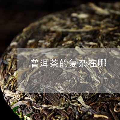 普洱茶的复杂在哪/2023040941473