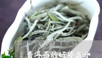 普洱茶的好坏区分/2023041314139