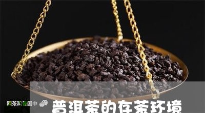 普洱茶的存茶环境/2023041179493