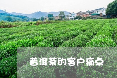 普洱茶的客户痛点/2023040113937