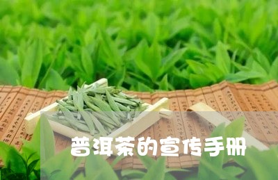 普洱茶的宣传手册/2023032941504