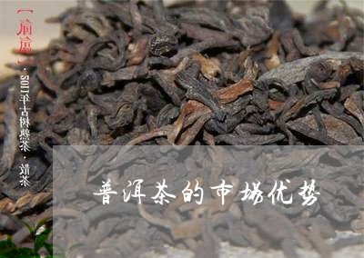 普洱茶的市场优势/2023040991862