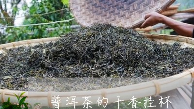 普洱茶的干香挂杯/2023033104937