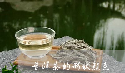 普洱茶的形状颜色/2023041293737