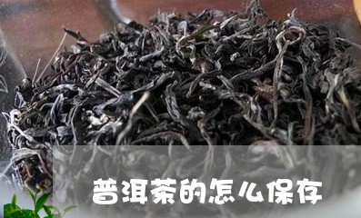 普洱茶的怎么保存/2023031874827