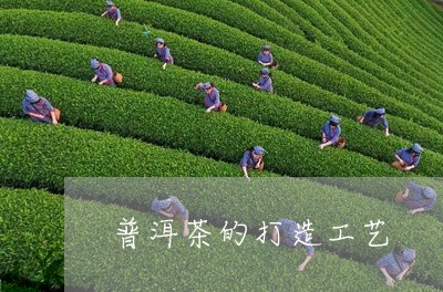 普洱茶的打造工艺/2023041297362