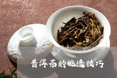 普洱茶的挑选技巧/2023041495068