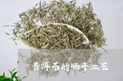 普洱茶的晒干工艺/2023040951594