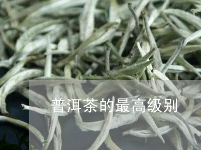 普洱茶的最高级别/2023033077482