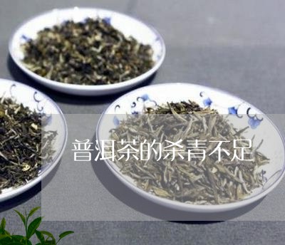 普洱茶的杀青不足/2023031771935