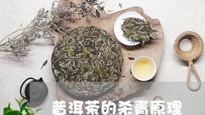 普洱茶的杀青原理/2023031628382