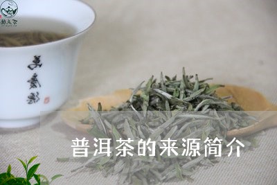 普洱茶的来源简介/2023041016271