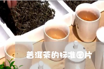 普洱茶的标准图片/2023041005279