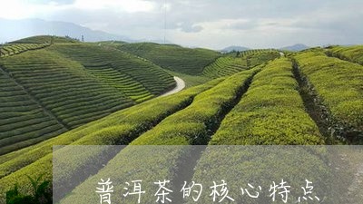 普洱茶的核心特点/2023040919714