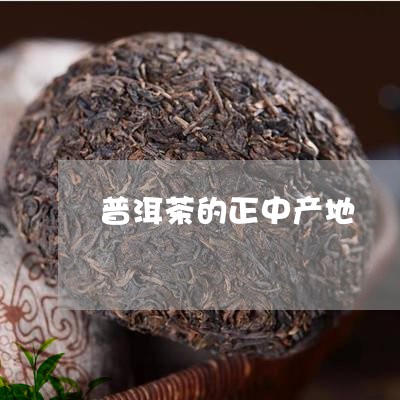 普洱茶的正中产地/2023040100582