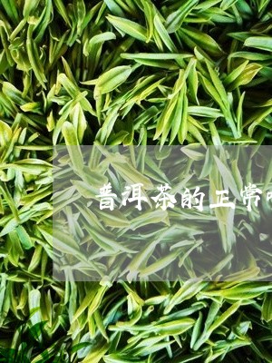 普洱茶的正常吃法/2023041389586