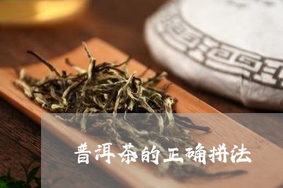 普洱茶的正确拼法/2023040979403