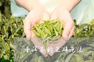 普洱茶的正确泡法/2023031839485