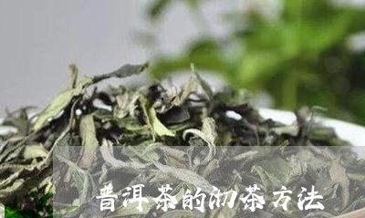 普洱茶的沏茶方法/2023040949703