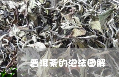 普洱茶的泡法图解/2023041253058