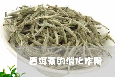 普洱茶的消化作用/2023031672815