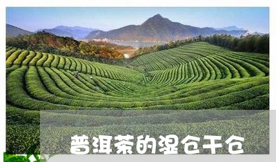 普洱茶的湿仓干仓/2023033117060