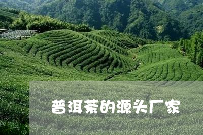 普洱茶的源头厂家/2023041061949