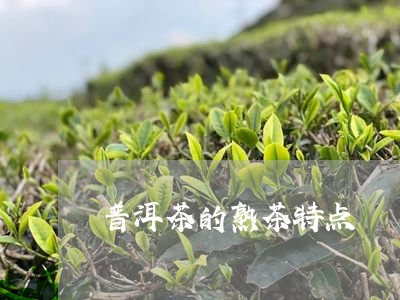 普洱茶的熟茶特点/2023031752725