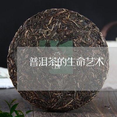 普洱茶的生命艺术/2023041082827