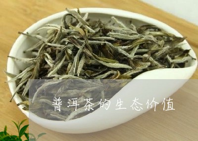 普洱茶的生态价值/2023040976259