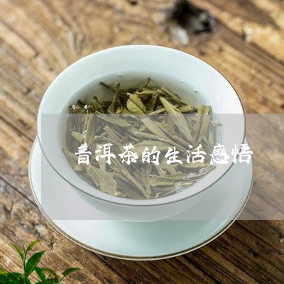 普洱茶的生活感悟/2023040947303