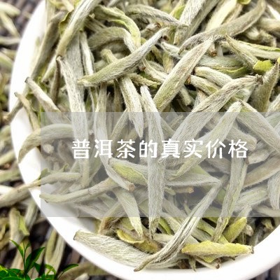 普洱茶的真实价格/2023031716260