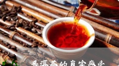 普洱茶的真实感受/2023033131715