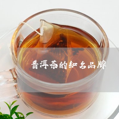 普洱茶的知名品牌/2023041314039