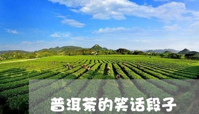 普洱茶的笑话段子/2023040939816