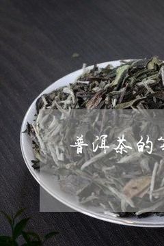 普洱茶的第一印象/2023033165938