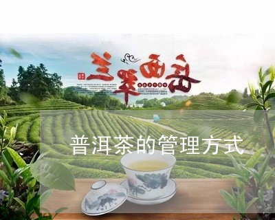 普洱茶的管理方式/2023031606059