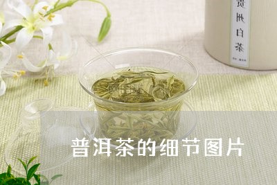 普洱茶的细节图片/2023041091837