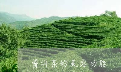 普洱茶的美容功能/2023031727593