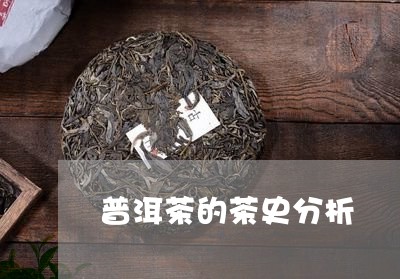 普洱茶的茶史分析/2023041357261