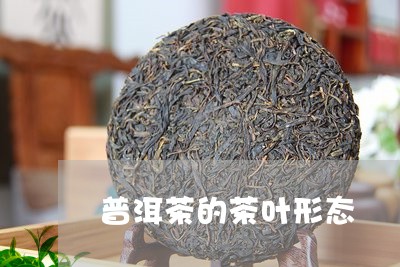 普洱茶的茶叶形态/2023041098371