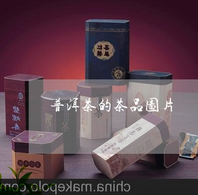 普洱茶的茶品图片/2023041109382