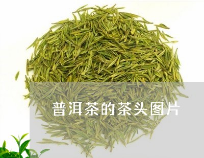 普洱茶的茶头图片/2023041125946