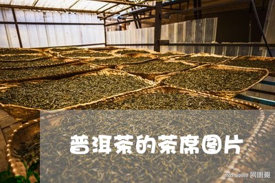 普洱茶的茶席图片/2023041161692