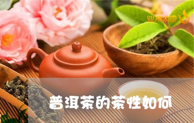 普洱茶的茶性如何/2023041128683